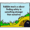Rabbits teach us about finding safety in something stronger than ourselves