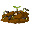 This is a drawing of seedlings growing up in soil. This is an illustration from the bible where it talks about seeds that were sown in soil. It is in reference to sharing God's Word with people.