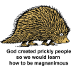 God created prickly people so we would learn how to be magnanimous