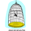 This is an image of a little black bird in a bird cage with the words below it, &quot;Jesus can set you free.&quot;