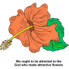 We ought to be attracted to the God who made attractive flowers