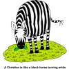 A Christian is like a black horse turning white