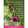 This is a photograph of some purple flowers in a green field. On it is 2 Corinthians 5:17, &quot;Therefore, if anyone is in Christ, he is a new creation; the old has gone, the new has come.&quot;