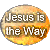 Jesus is the way christian AIM Icon
