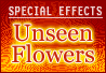 Christian book: Unseen Flowers
