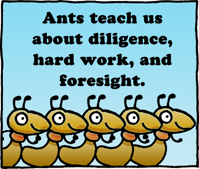 Ants Teach