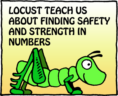 Locust Teach