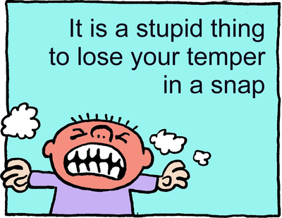 Stupid Temper