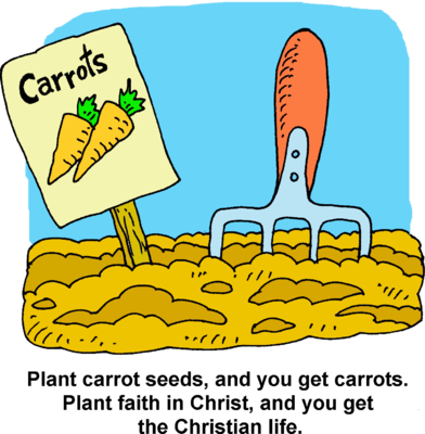 Carrot Garden