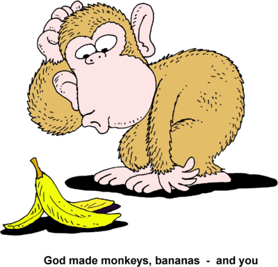 Monkeys, bananas and you
