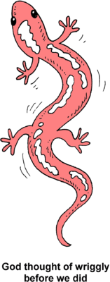Pink Salamander