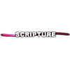 Scarlet Scripture Button