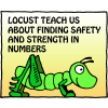 Locust teach us about finding safety and strength in numbers