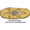 Worldwide fossils - evidence for a worldwide flood