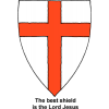 Shield With Cross Image