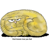 This is a comical clip art of an angry, orange cat, all curled up with a grumpy face. Below are the words, "God knows how you feel."
