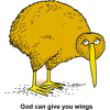 This is a clip art image of a kiwi, which is a flightless bird native to New Zealand. Below are the words, "God can give you wings."