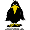 Grumpy Black Bird