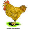 Hen - Only God could make a hen