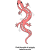Pink Salamander - God thought of wriggly before we did