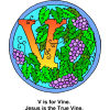 This is a drawing of the letter "V" decorated with grape vines and the words, "V is for Vine. Jesus is the True Vine." This is in the Bible Alphabet series.