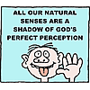 All our natural senses are a shadow of God's perfect perception