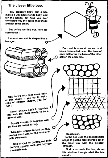 Sunday School Activity Sheet: The clever little bee