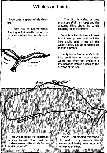 Sunday School Activity Sheet: Whales and birds