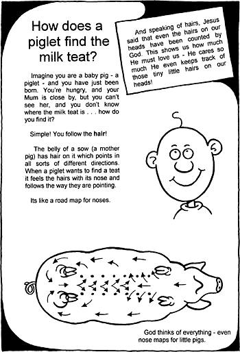 Sunday School Activity Sheet: How does a piglet find them
