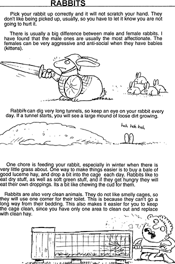 Sunday School Activity Sheet: Rabbits ( 2 of 2 )