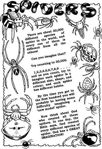 Sunday School Activity Sheet: Spiders