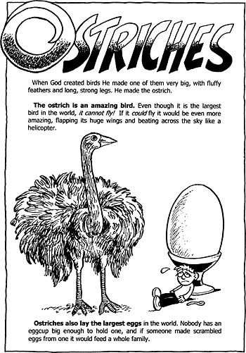 Sunday School Activity Sheet: Ostriches ( 1 of 2 )