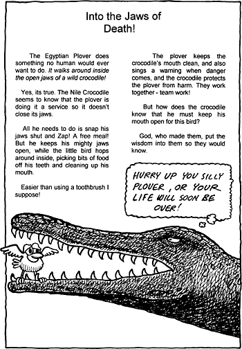 Sunday School Activity Sheet: Into the Jaws of Death