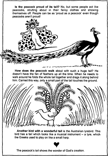 Sunday School Activity Sheet: Peacocks ( 2 of 2 )