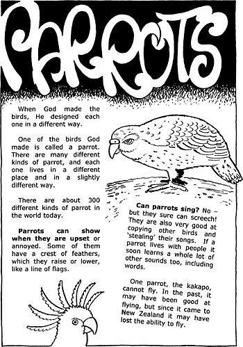 Sunday School Activity Sheet: Parrots ( 1 of 2 )