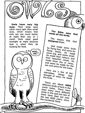 Sunday School Activity Sheet: Owls ( 1 of 2 )