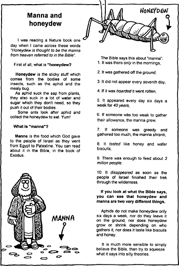 Sunday School Activity Sheet: Manna and Honeydew