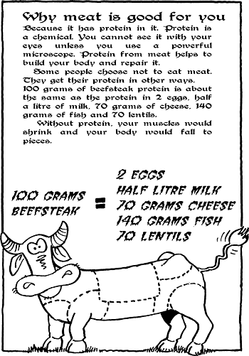 Sunday School Activity Sheet: Why meat is good for you