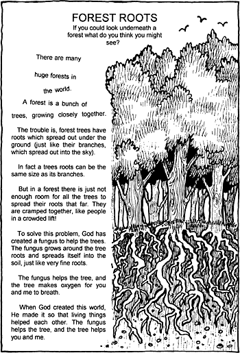 Sunday School Activity Sheet: Forest Roots