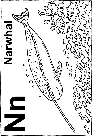Sunday School Activity Sheet: N - Narwhal