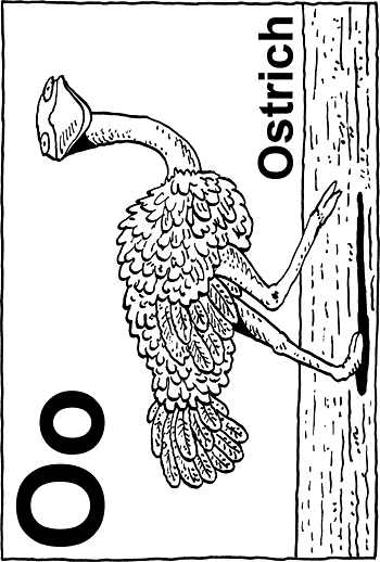 Sunday School Activity Sheet: O - Ostrich