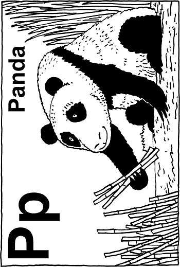 Sunday School Activity Sheet: P - Panda