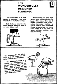 Print-Ready Handout: The Wonderfully Designed Flamingo  ( 1 of 2 )