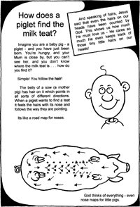 Print-Ready Handout: How does a piglet find them