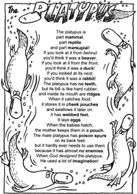 Print-Ready Handout: The Platypus