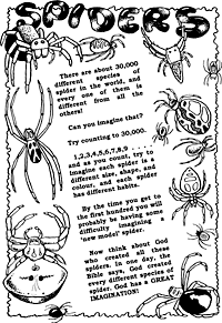 Print-Ready Handout: Spiders