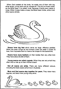 Print-Ready Handout: Swans ( 1 of 2 )