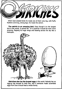 Print-Ready Handout: Ostriches ( 1 of 2 )