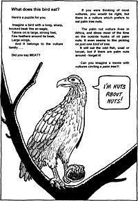 Print-Ready Handout: What does this bird eat?