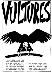 Print-Ready Handout: Vultures ( 1 of 2 )